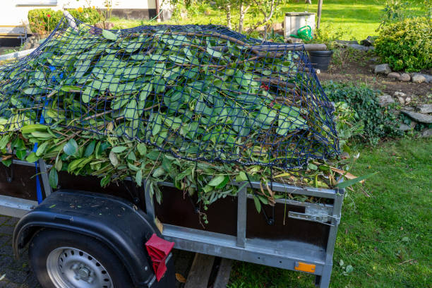 Best Yard Waste Removal  in West Bountiful, UT